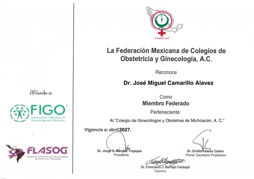 la federación mexicana de colegios de obstetricia y ginecología, a.c.